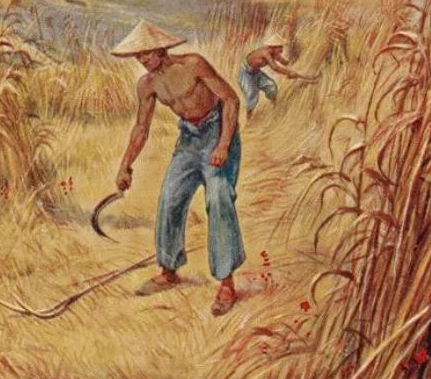 嘉庆皇帝掌权之后 嘉庆为什么着急的处死和珅 嘉庆皇帝掌权之后 嘉庆为什么着急的处死和珅