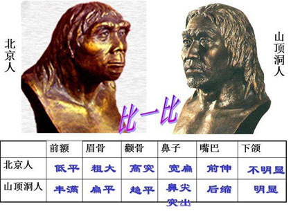 山顶洞人和北京人有什么区别