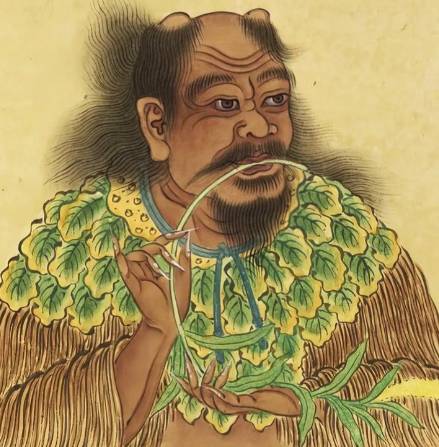 炎帝:上古农耕文明的拓荒者与华夏文明的奠基人