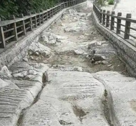 秦驰道：大一统王朝的交通脊梁