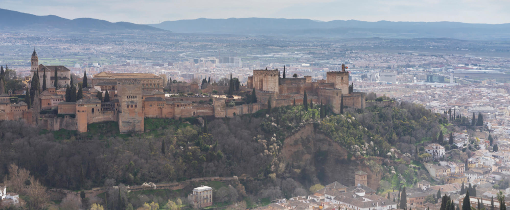 狗仗人势打一肖,最佳解释释义答案