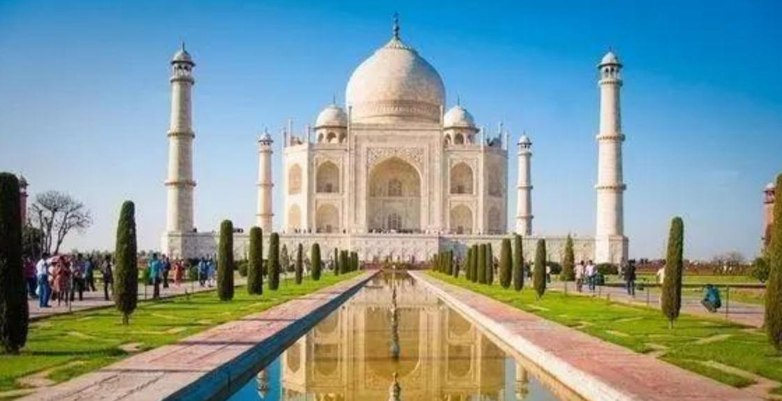 狗仗人势打一肖,辨析成语解释释义