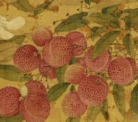 古道千里送鲜荔：一场跨越千年的物流与保鲜博弈