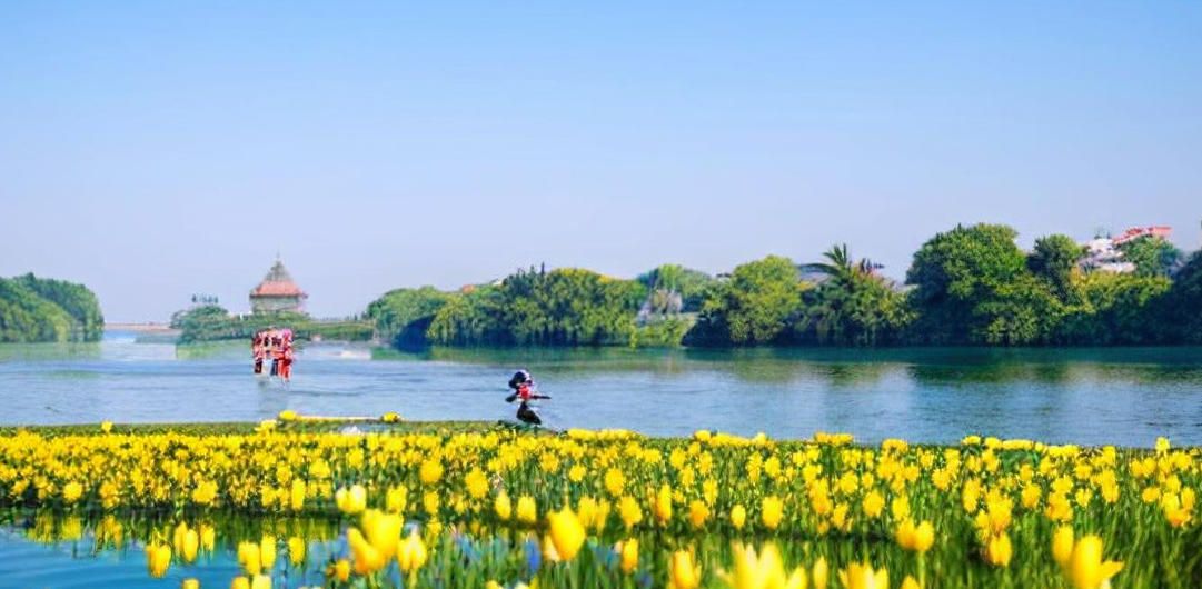 精选谜底作答:鼠贼横行荒野地，虎落犬地遭人欺 落实词语含义阐述答解