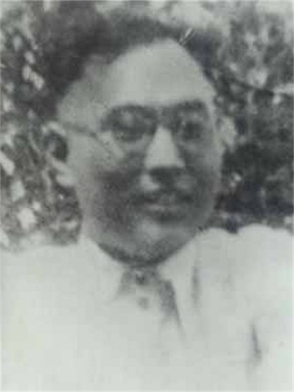 李枚青:抗日传奇 莱北英魂