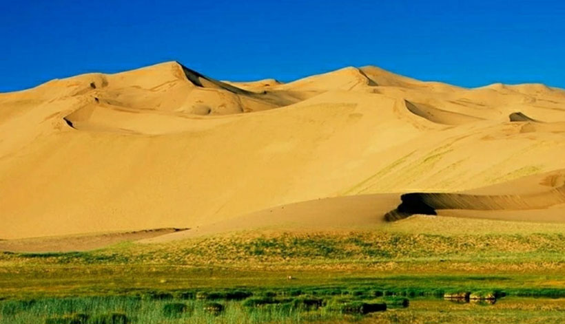 经典诗词绝对解析：春到人间万物苏，热成迎接嘉宾临准确释义最佳成语解释