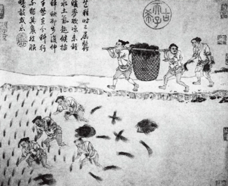 唐朝均田制：土地分配的制度探索与历史影响