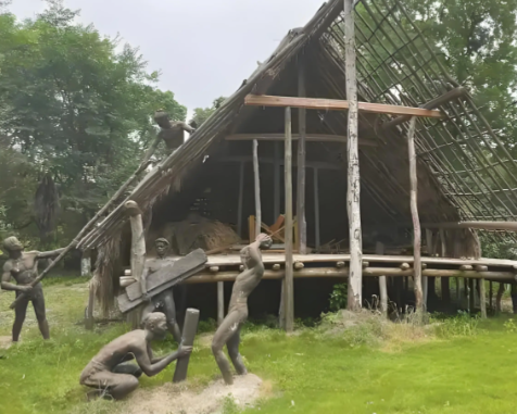 从野生稻谷到餐桌常客：古人实现米饭上桌的千年历程